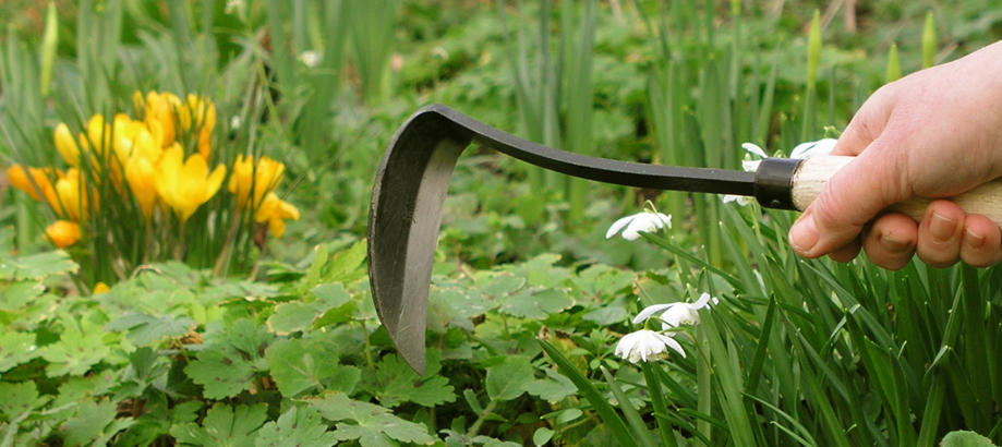 Header_for-the-gardener-sowing-and-planting-japanese-razor-hoe