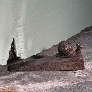 Snail Door Wedge