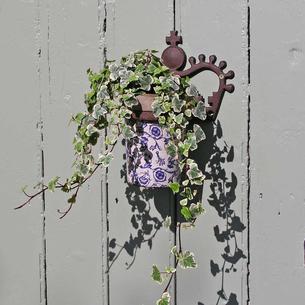 Crown Wall Pot Holder and Pot