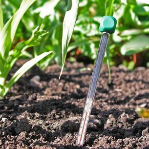 Soil Thermometer