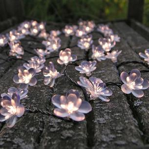 Midnight Flower Lights White