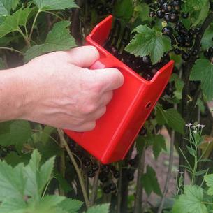 Berry Picker