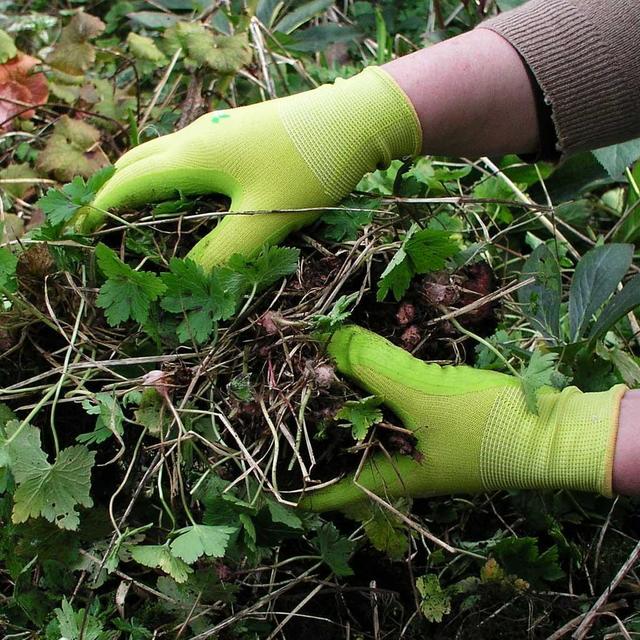 Buy Joe's Essential Garden Glove — The Worm that Turned revitalising
