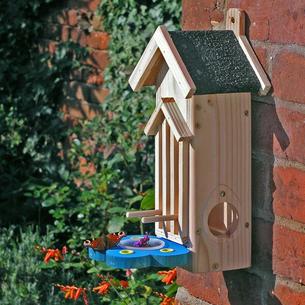 Butterfly Feeder/House