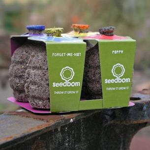 Seedbom - Set of 4 