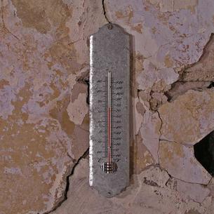 Zinc Thermometer