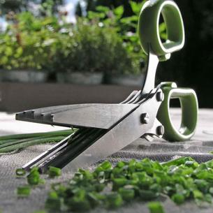 Herb Scissors