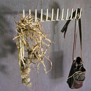 Garden Rake Coat Hook