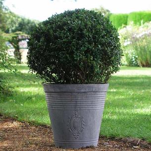 Zinc Embossed Planter