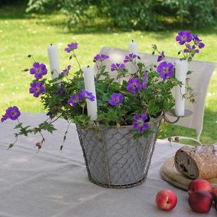 Zinc Plant Pot Candle Holder