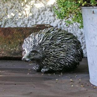  Hedgehog 