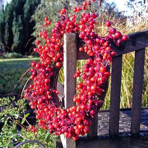 Outdoor Red Berry Wreath