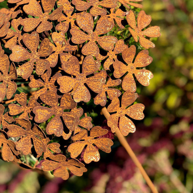 Buy Rusted Hydrangea Flowers — The Worm that Turned