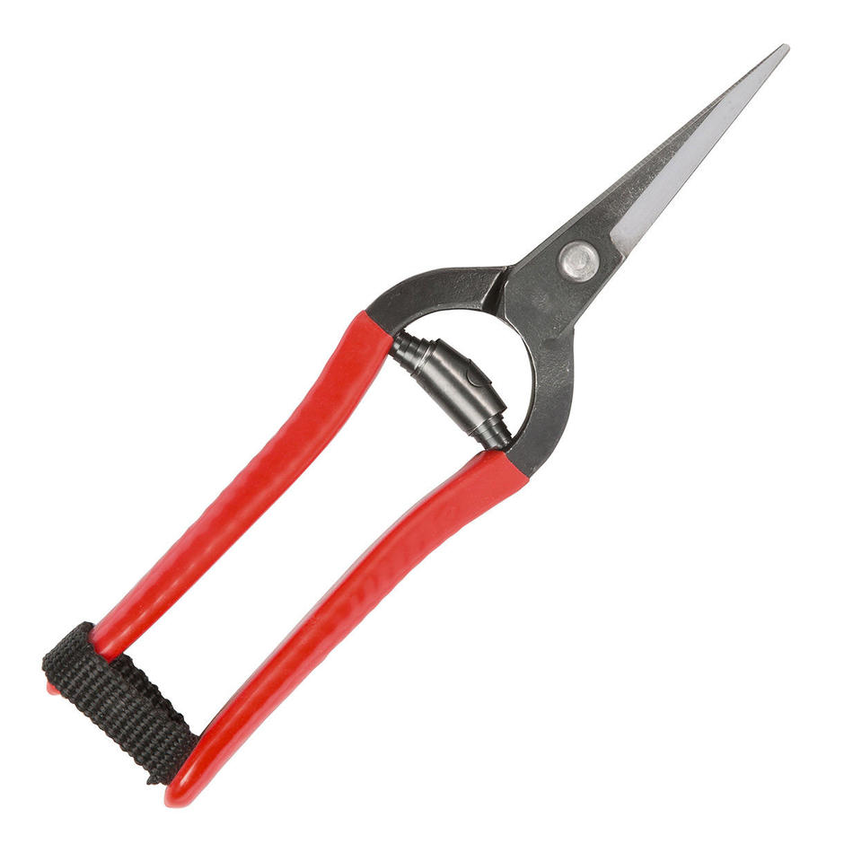 Buy Japanese Snips — The Worm that Turned revitalising your