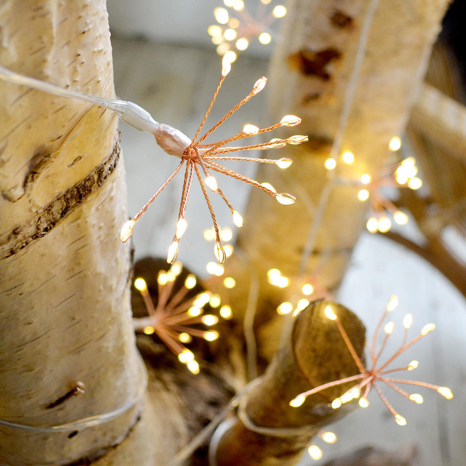Buy Allium Starburst Mains String Lights — The Worm that Turned