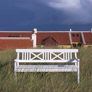 Drachmann Bench