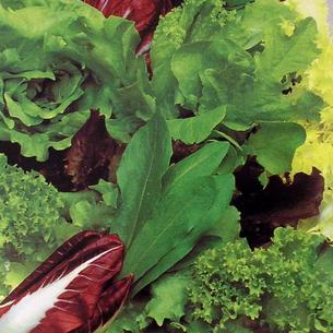 Salad and Leaves