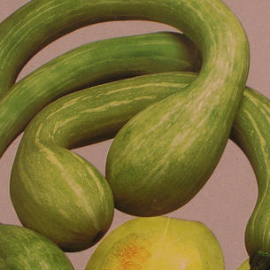 Squash and Courgettes