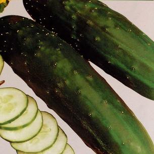 Salad Accompaniments