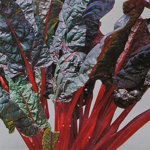 Vegetables