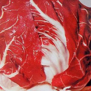 Radicchio and Chicory