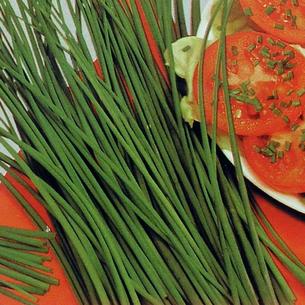 Herbs