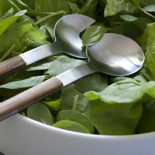 Nordic Salad Servers