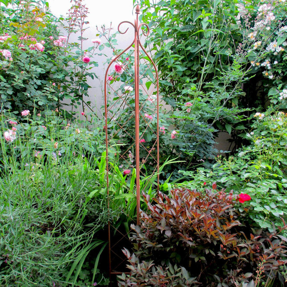 Buy Folding 3 Panel Trellis — The Worm that Turned revitalising your