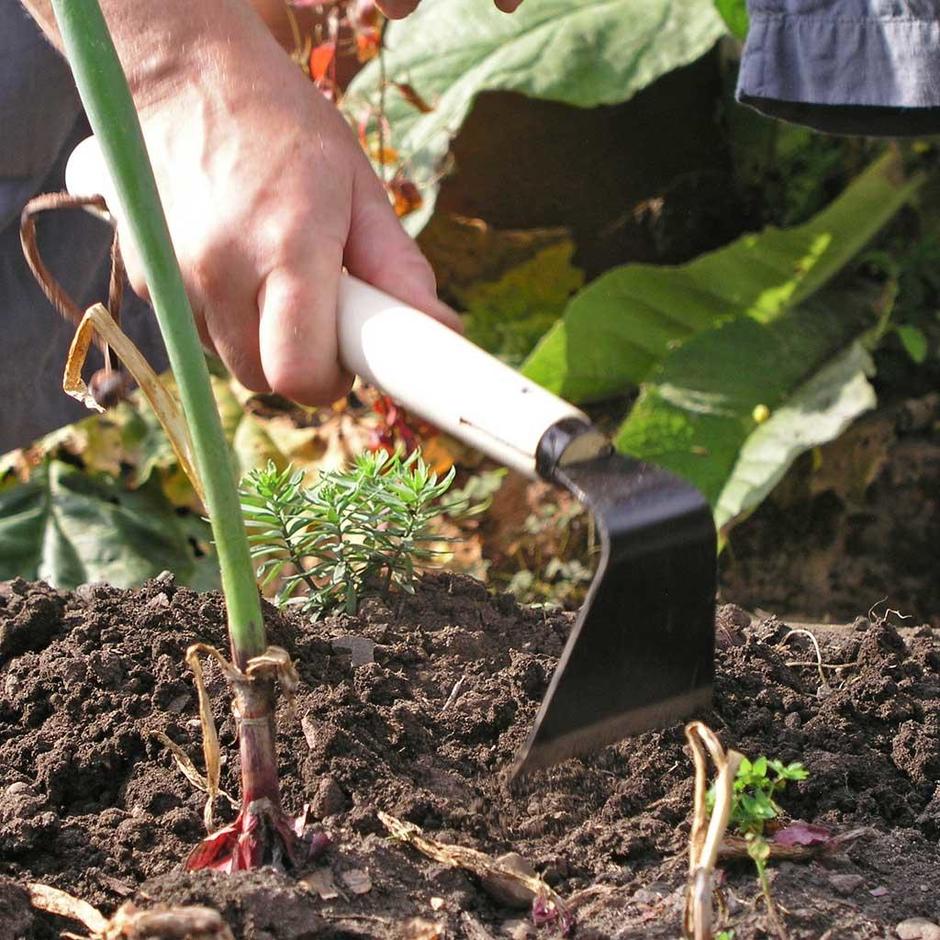 Hand Vegetable Hoe