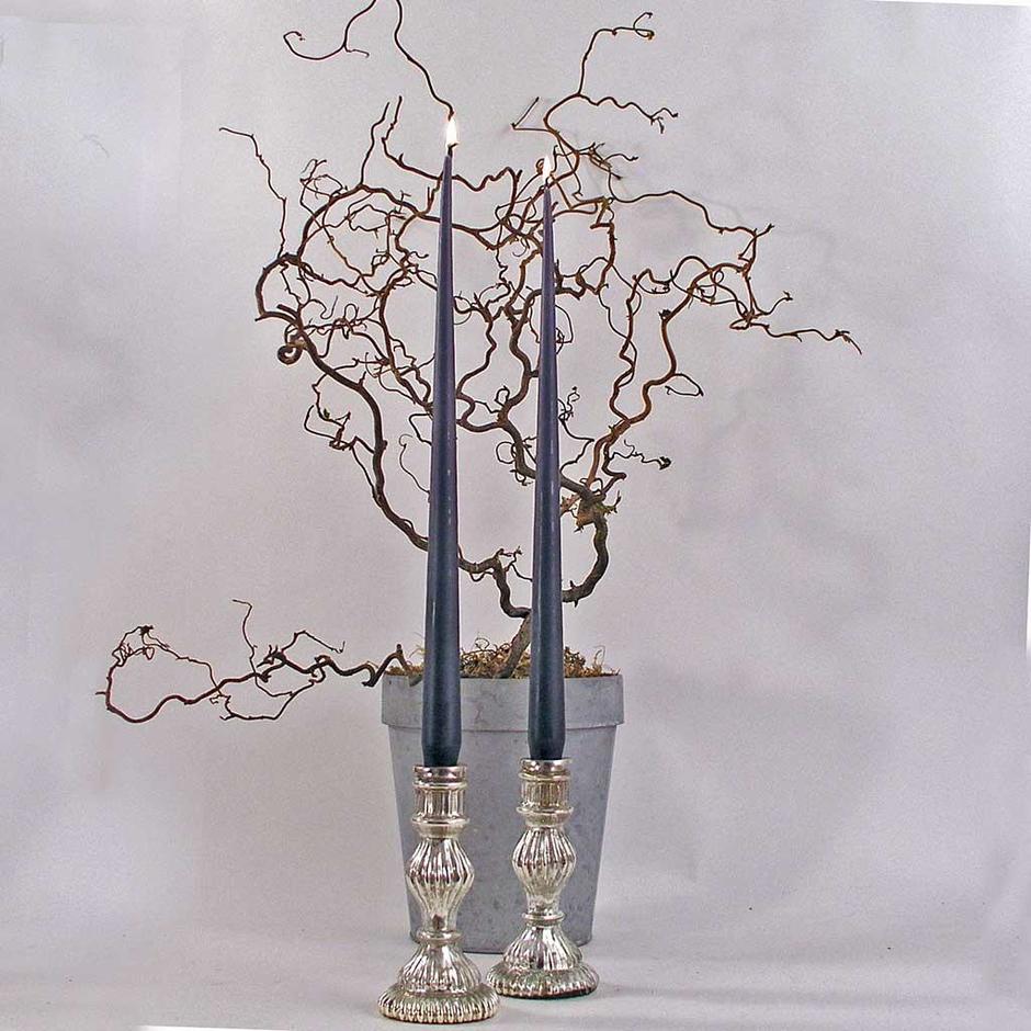 Buy Ester and Erik Taper Candles — The Worm that Turned revitalising