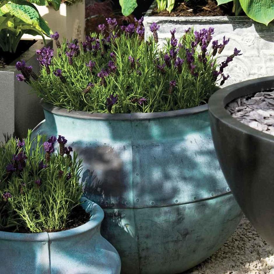 Buy Bell Jar Planters — The Worm that Turned revitalising your outdoor space