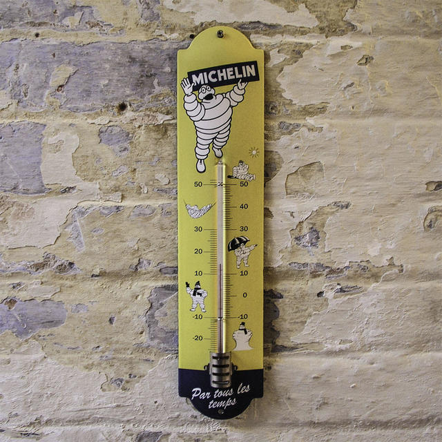 Buy Enamel Outdoor Thermometers — The Worm that Turned revitalising