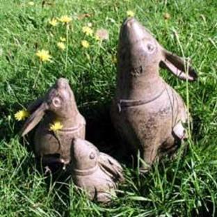 Moongazing Hares