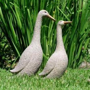 Runner Ducks