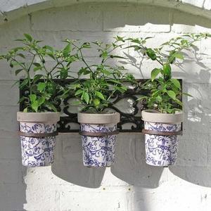 Wall Holder with 3 Ceramic Pots