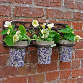 Wall Holder with 3 Ceramic Pots
