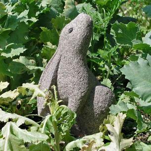 Stone Garden Hares