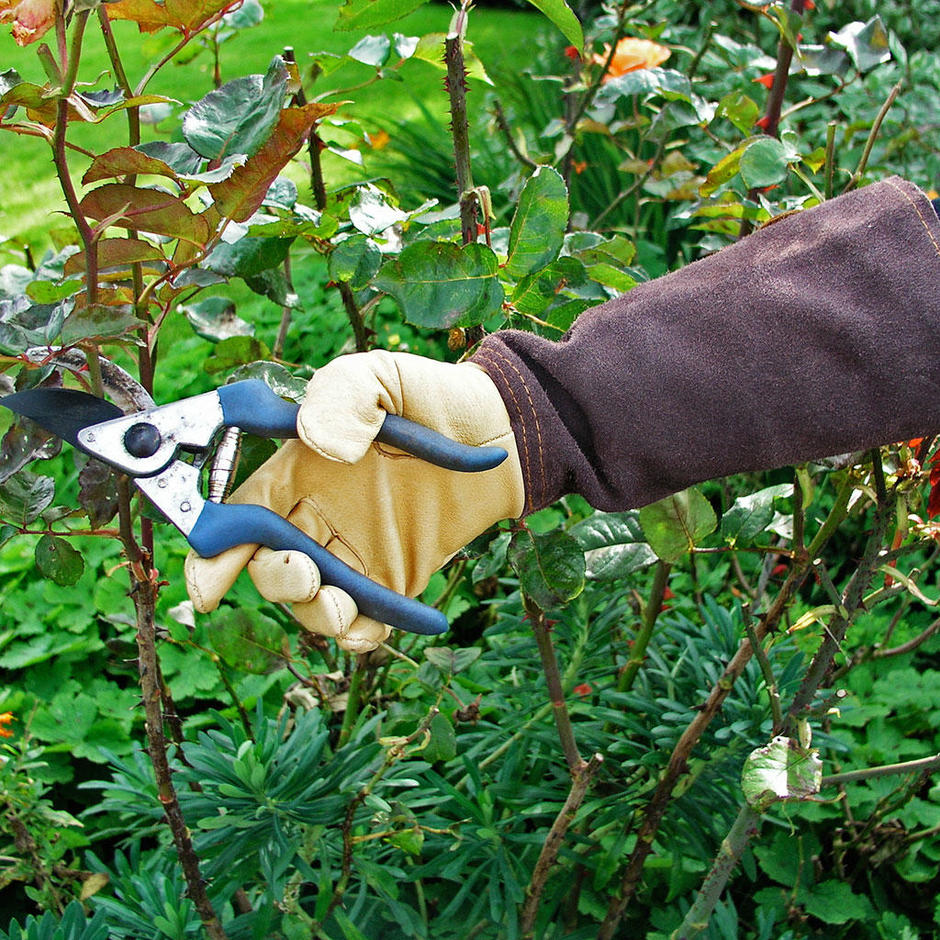 Ladies Chocolate Suede Pruning Gauntlets