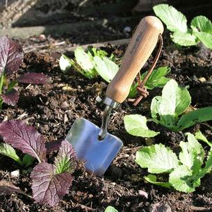 Stainless Steel Hand Trowel