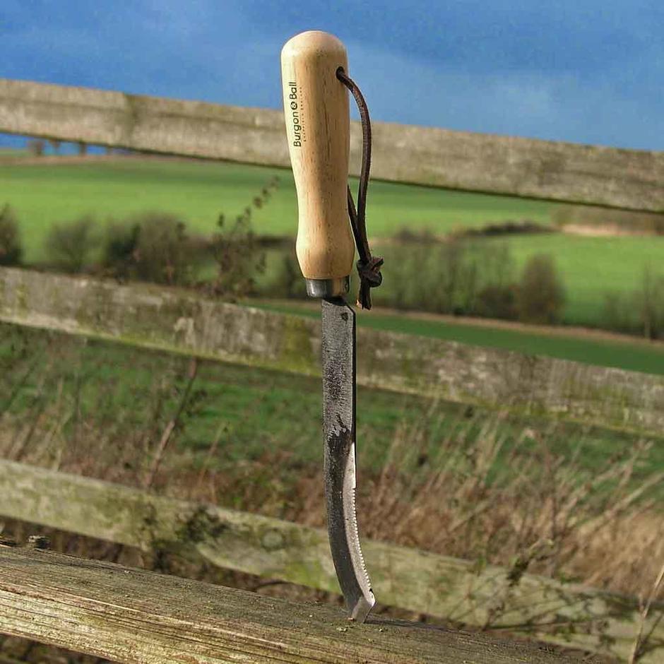 Buy Asparagus Knife — The Worm that Turned revitalising your outdoor