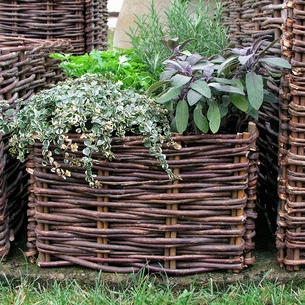 Wicker Planters