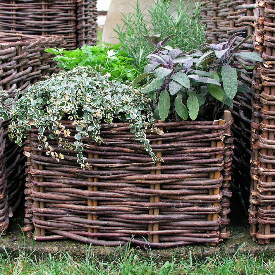 Buy Wicker Planters — The Worm that Turned revitalising your outdoor