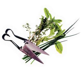 Herb Snips
