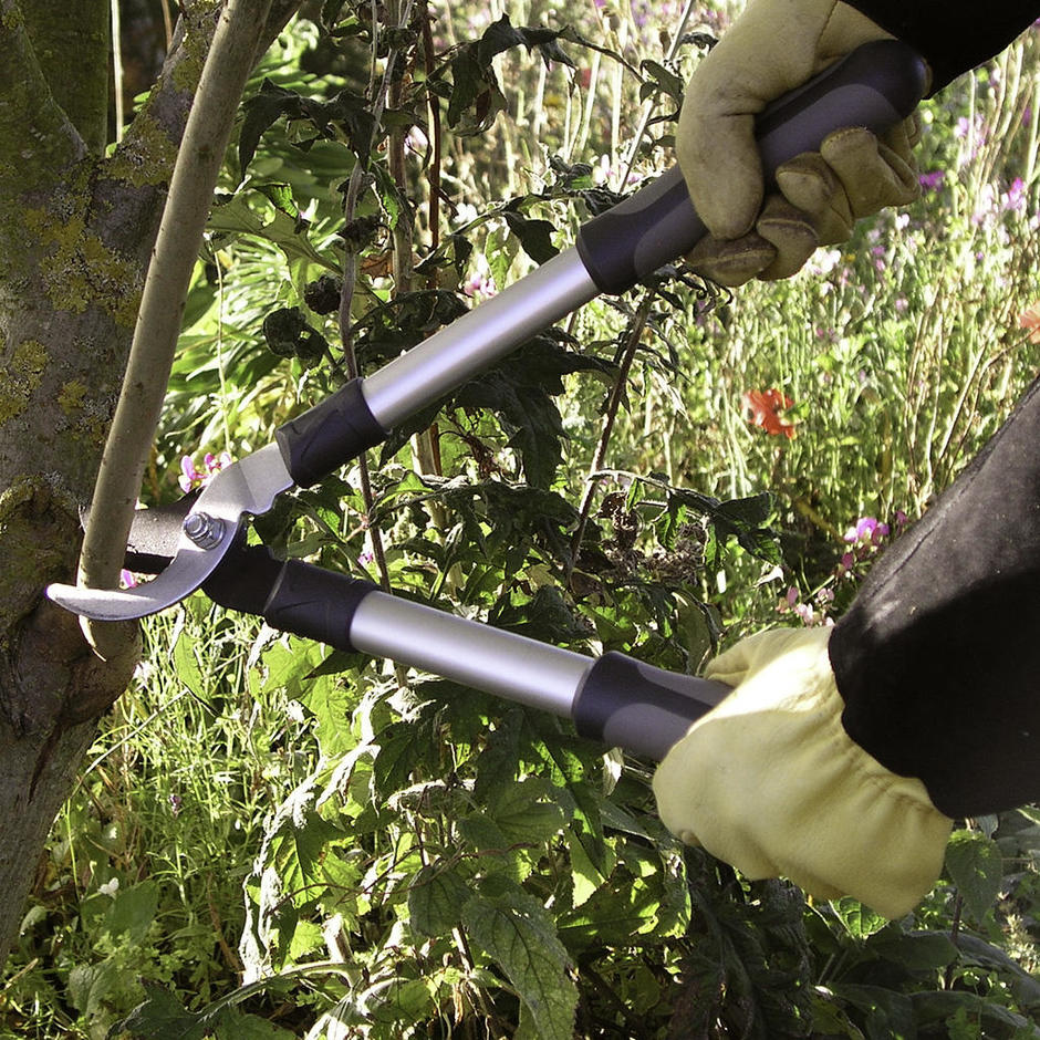 Buy Mini Bypass Lopper — The Worm that Turned revitalising your