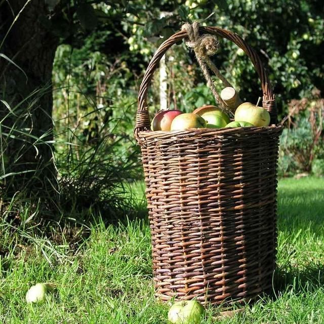 Fruit Picking Basket — The Worm that Turned REVITALISING YOUR OUTDOOR