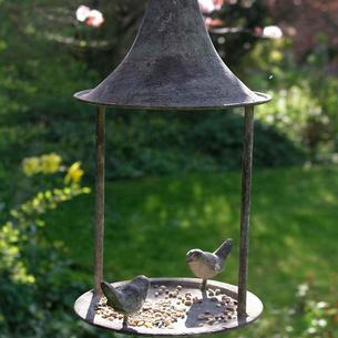 Aged Metal Birdfeeder