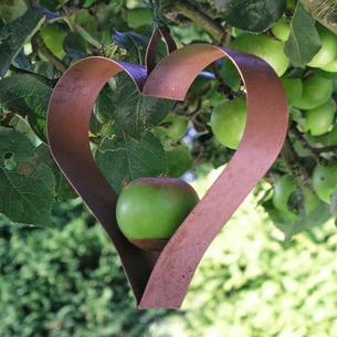 Shaker Heart Bird Feeder