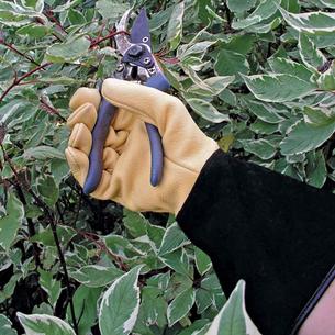 Tough Touch Gloves