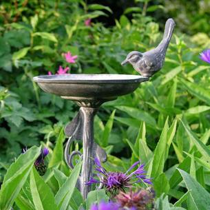 Bird Waterer on a Stake