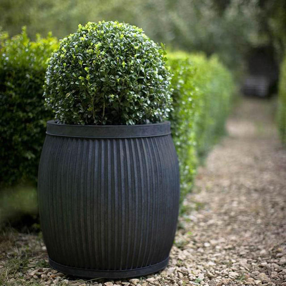 Buy Dolly Tub Planters — The Worm that Turned revitalising your